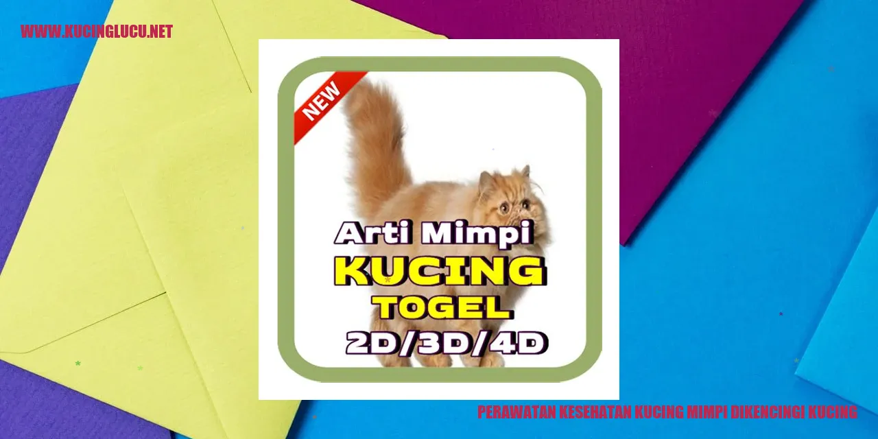 Gambar Kucing