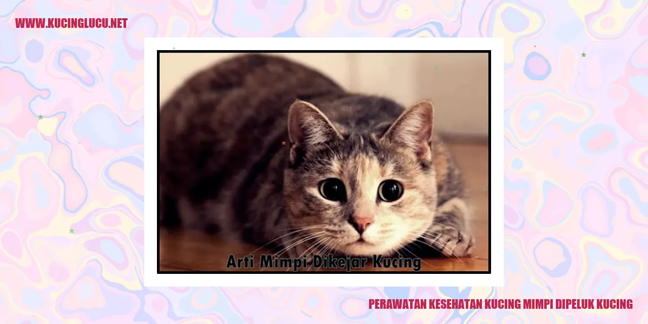 Perawatan Kesehatan Kucing mimpi dipeluk kucing