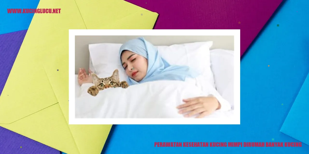 Gambar kucing yang sehat