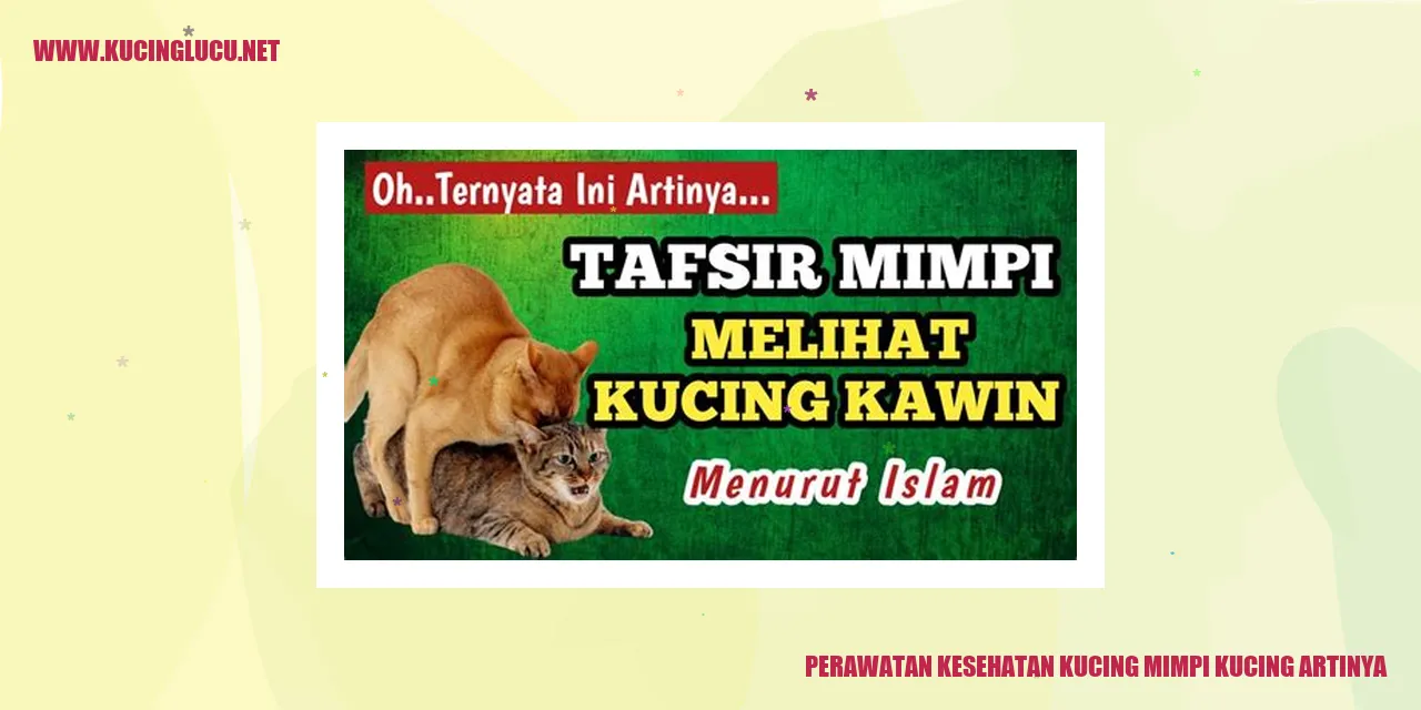 Perawatan Kesehatan Kucing