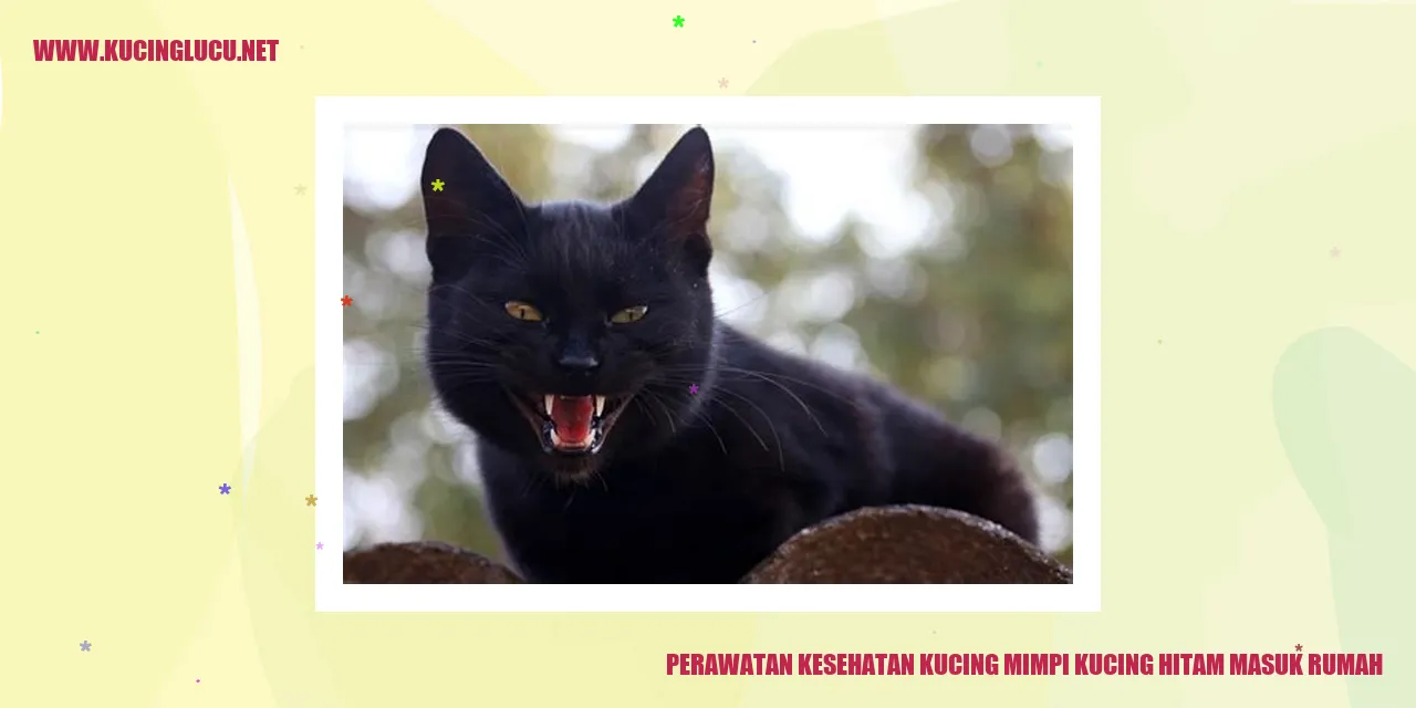 Perawatan Kesehatan Kucing