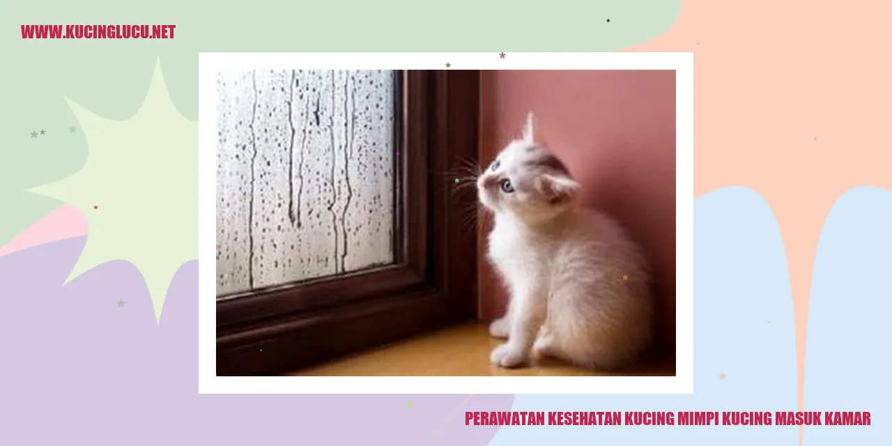 Perawatan Kesehatan Kucing mimpi kucing masuk kamar
