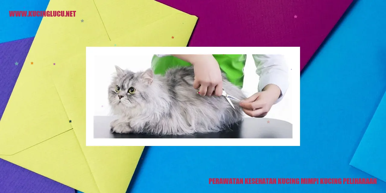 Perawatan Kucing