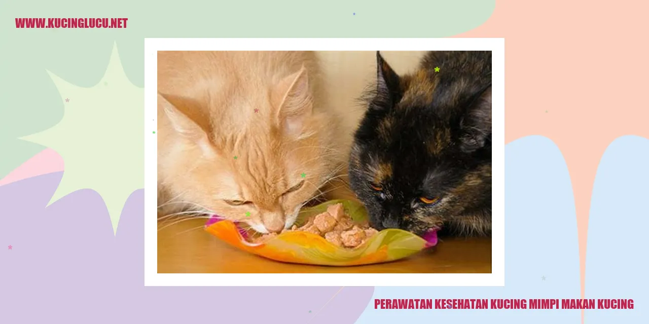 Perawatan Kesehatan Kucing mimpi makan kucing