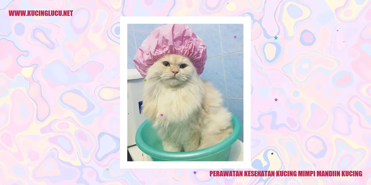 Perawatan Kesehatan Kucing