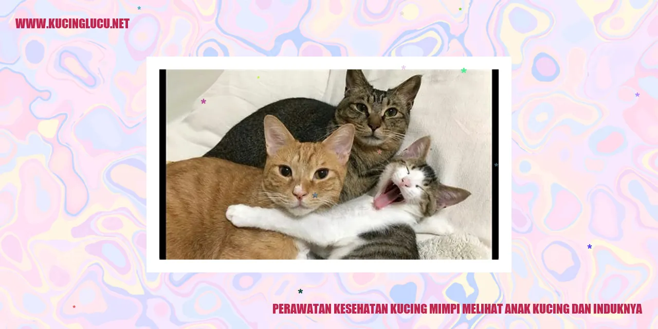 Gambar Kucing dan Anaknya