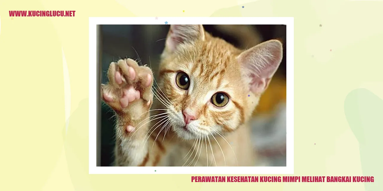 Perawatan Kesehatan Kucing