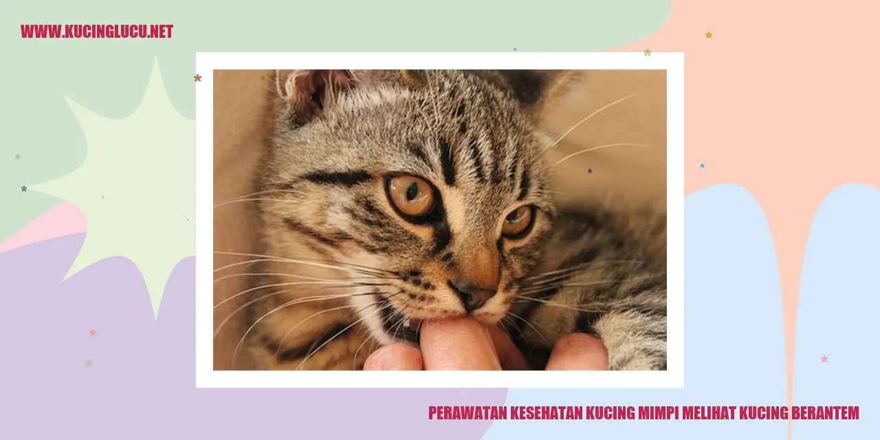 Gambar Kucing