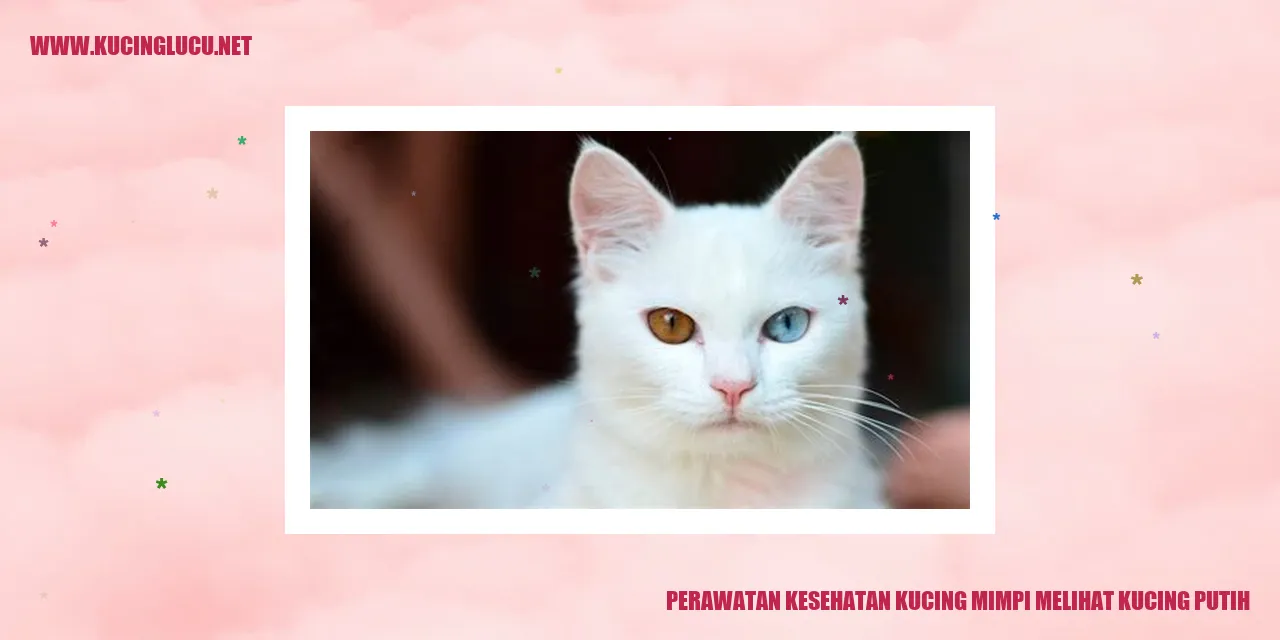 Gambar Kucing Putih