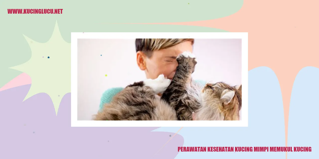 Perawatan Kesehatan Kucing mimpi memukul kucing