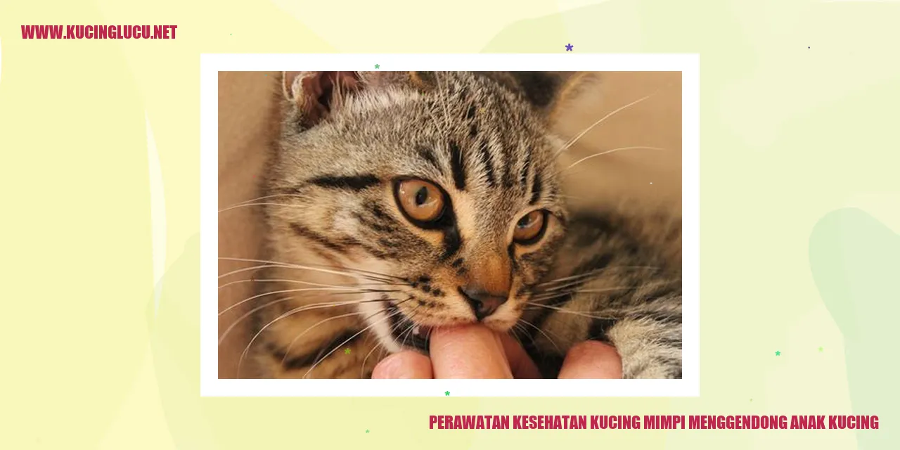 Perawatan Kesehatan Kucing mimpi menggendong anak kucing