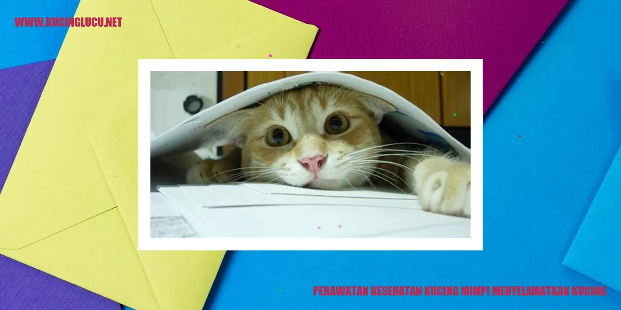 Perawatan Kucing