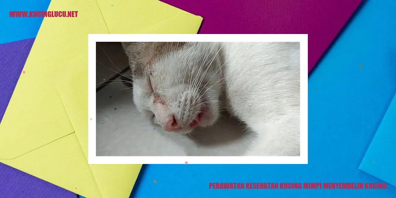 Perawatan Kesehatan Kucing