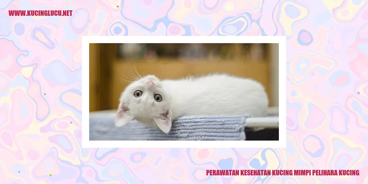 Perawatan Kucing