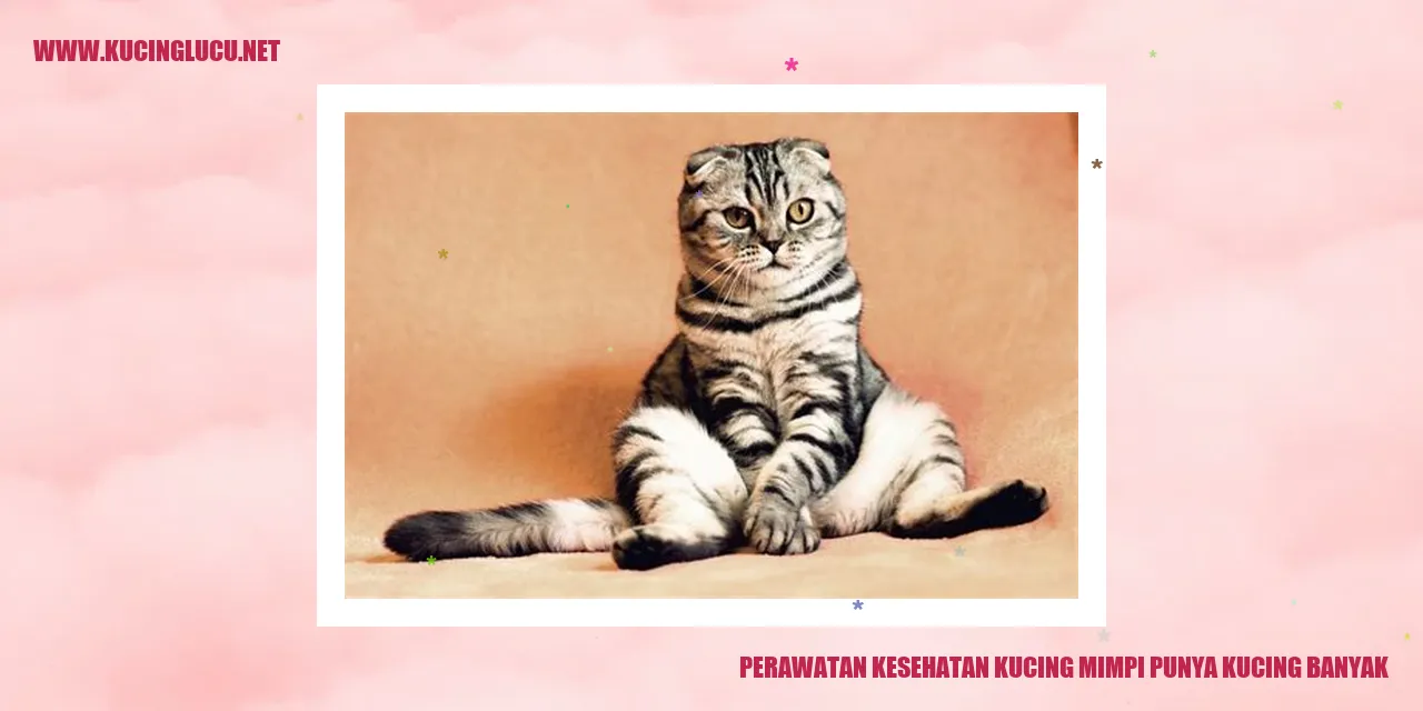 Perawatan Kesehatan Kucing