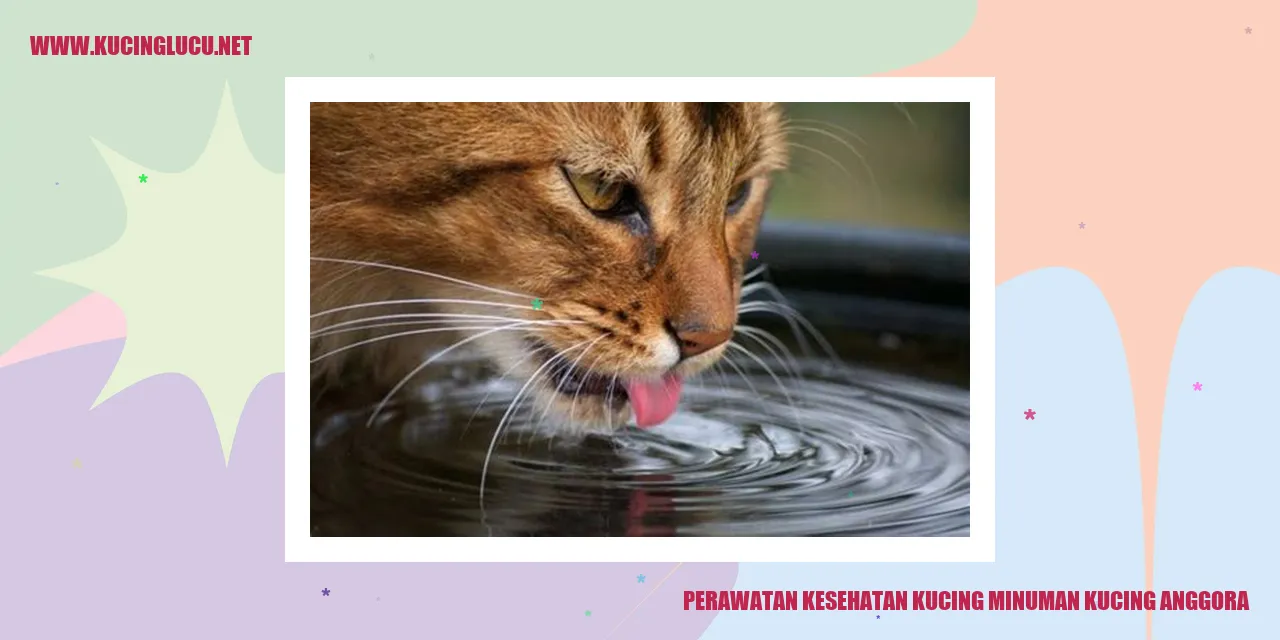 Kucing anggora yang sehat