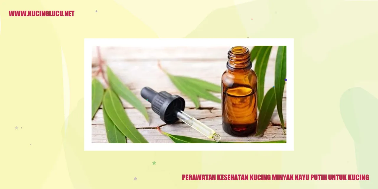 Kucing dengan minyak kayu putih