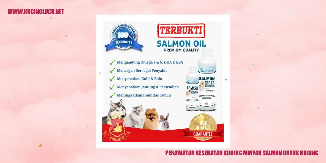 Minyak Salmon untuk Kucing
