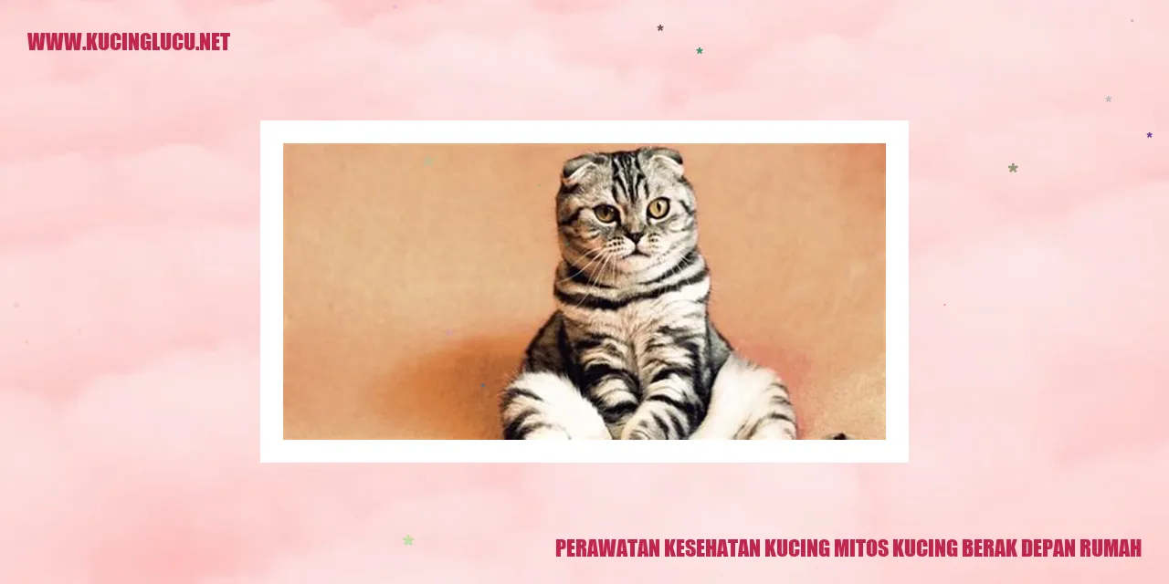 Perawatan Kesehatan Kucing
