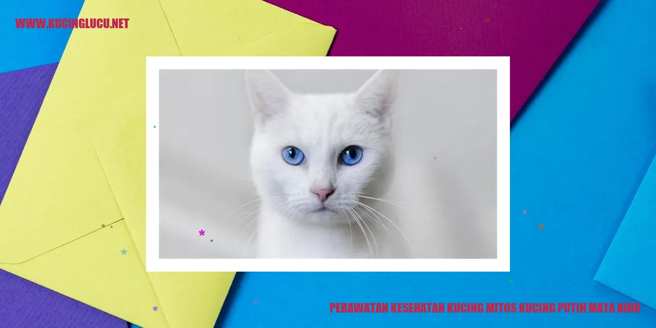Perawatan Kesehatan Kucing mitos kucing putih mata biru