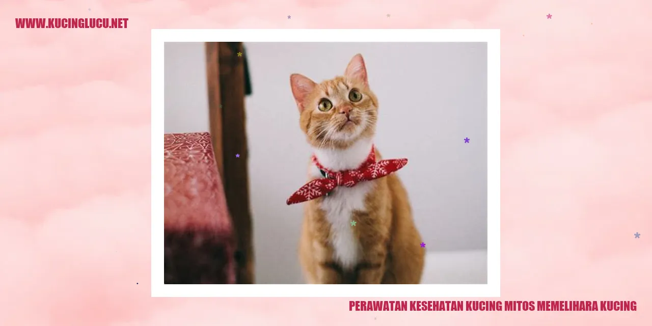 Perawatan Kesehatan Kucing