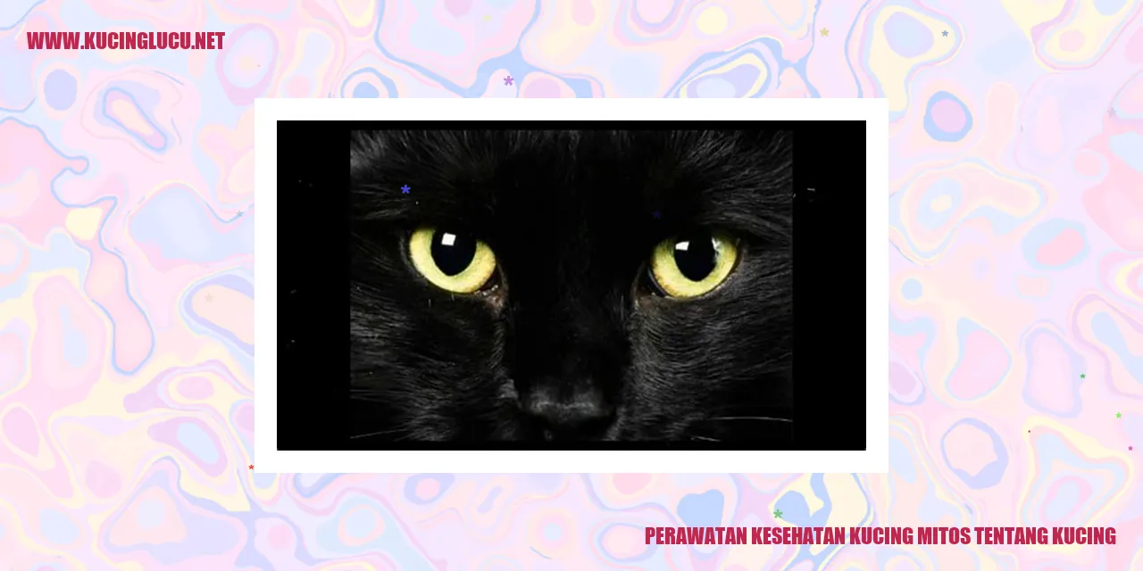 Perawatan Kesehatan Kucing mitos tentang kucing