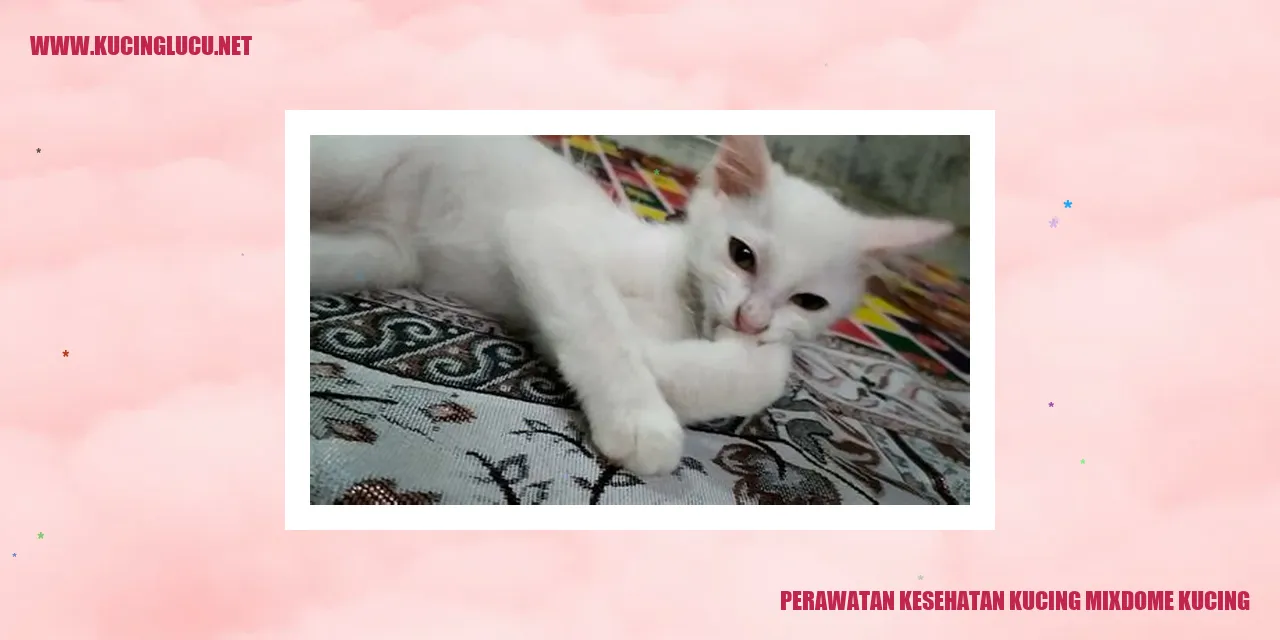 Perawatan Kesehatan Kucing Mixdome