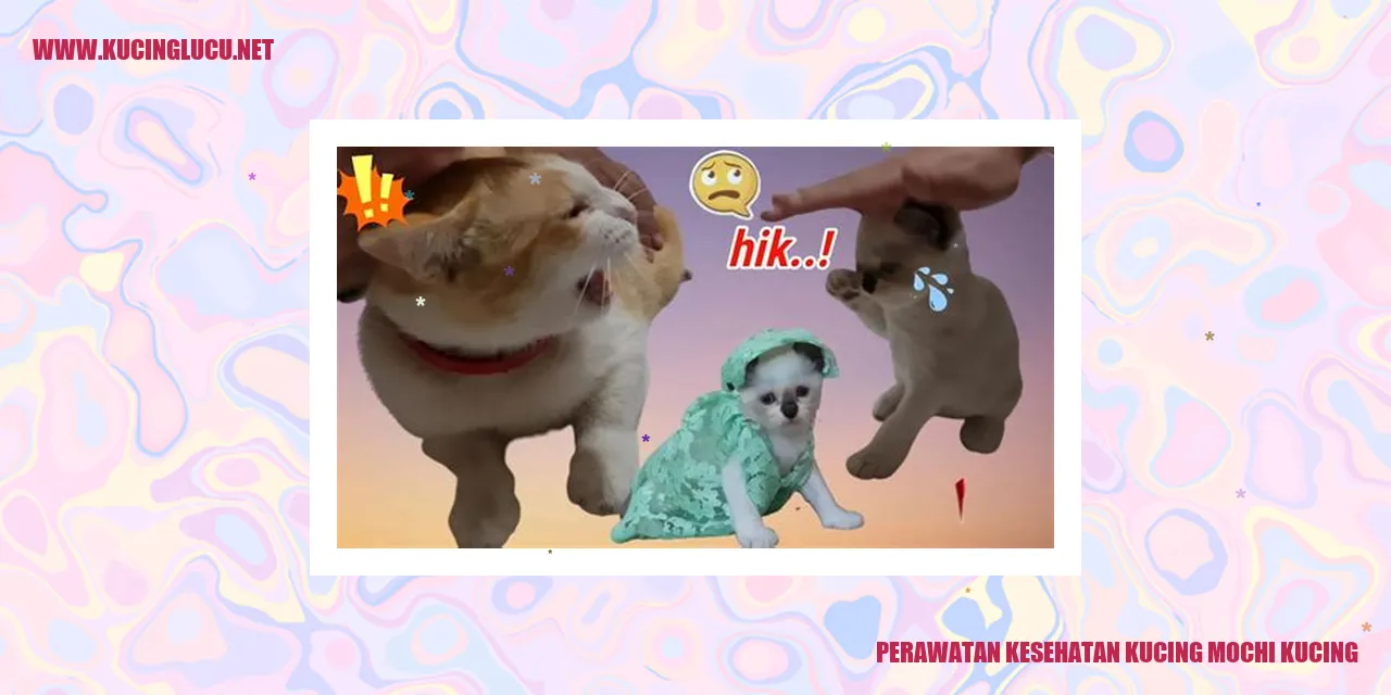 Perawatan Kesehatan Kucing Mochi Kucing