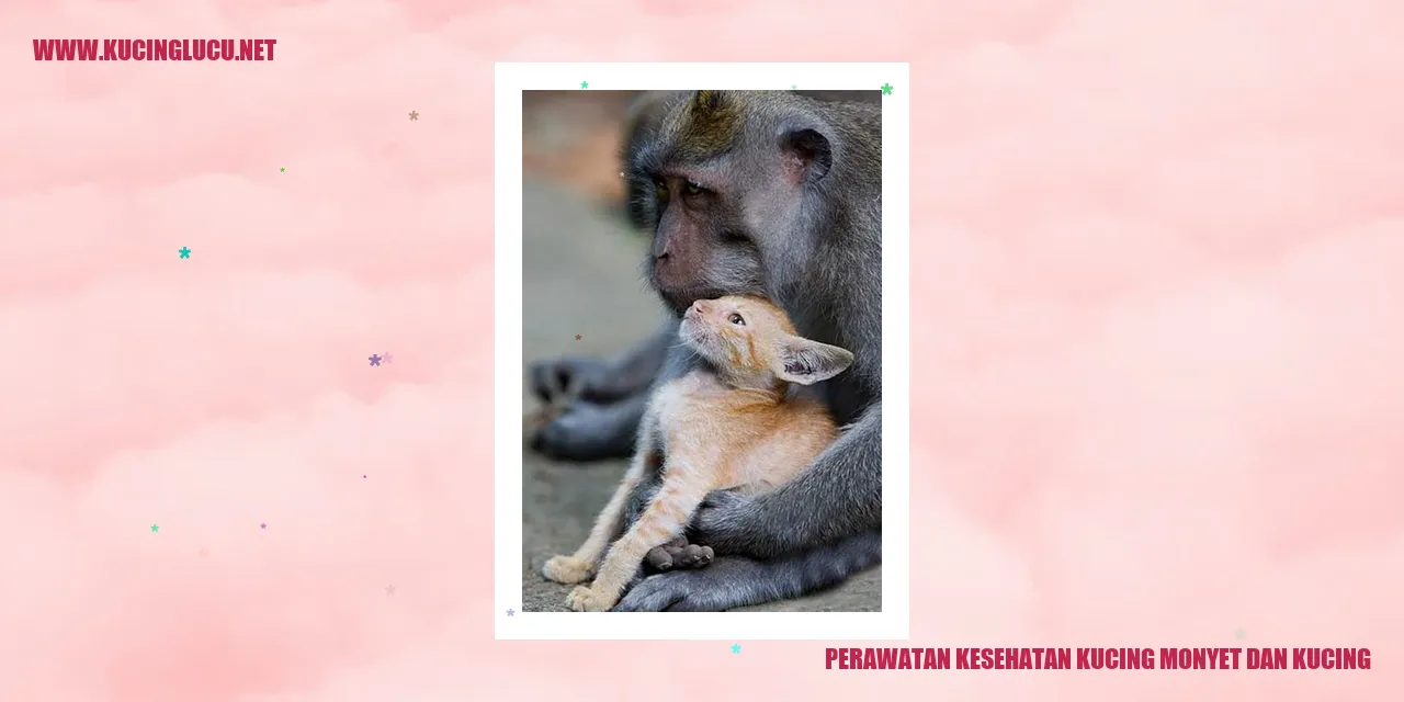 Perawatan Kesehatan Kucing