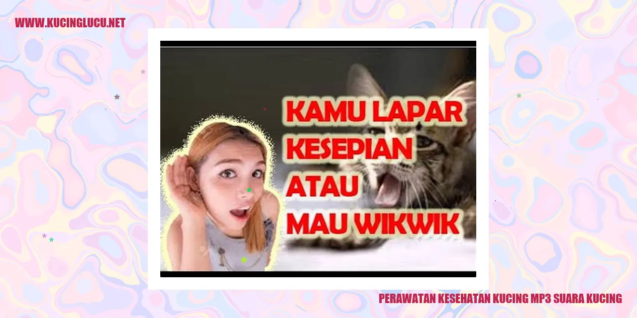 Perawatan Kesehatan Kucing