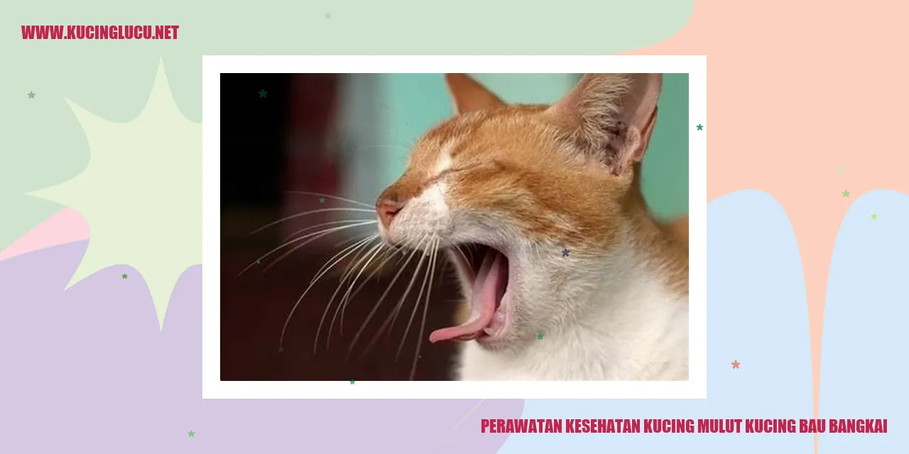 Gambar Kucing dengan Bau Mulut Tak Sedap