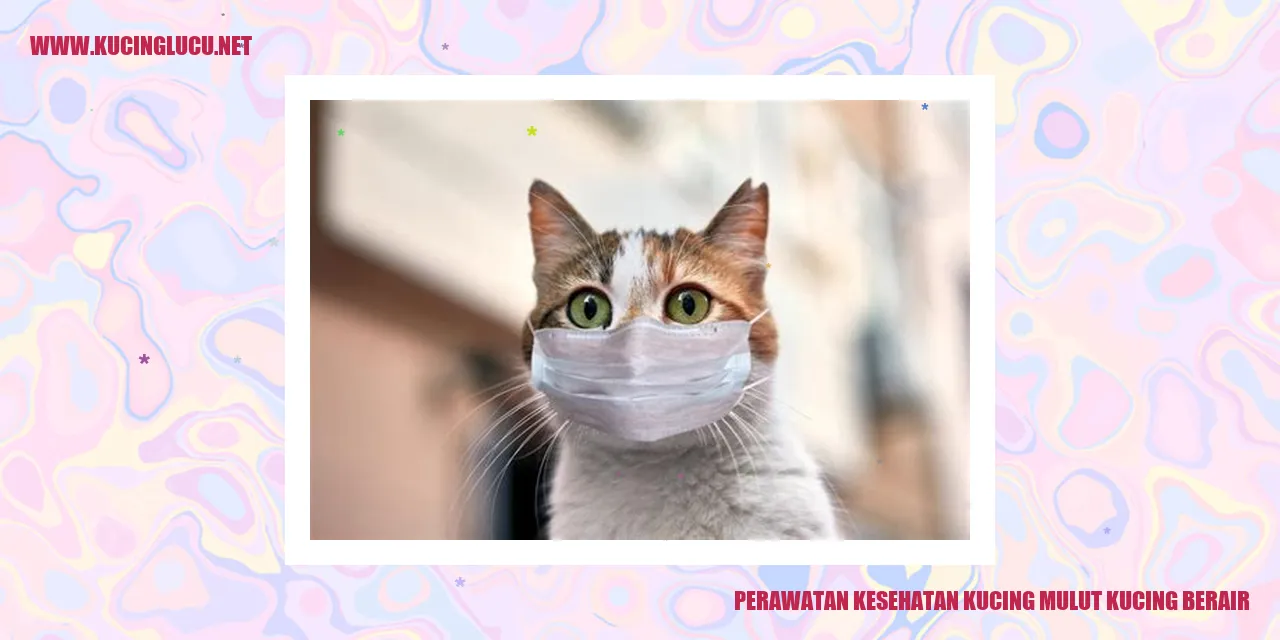 Gambar Kucing Berair