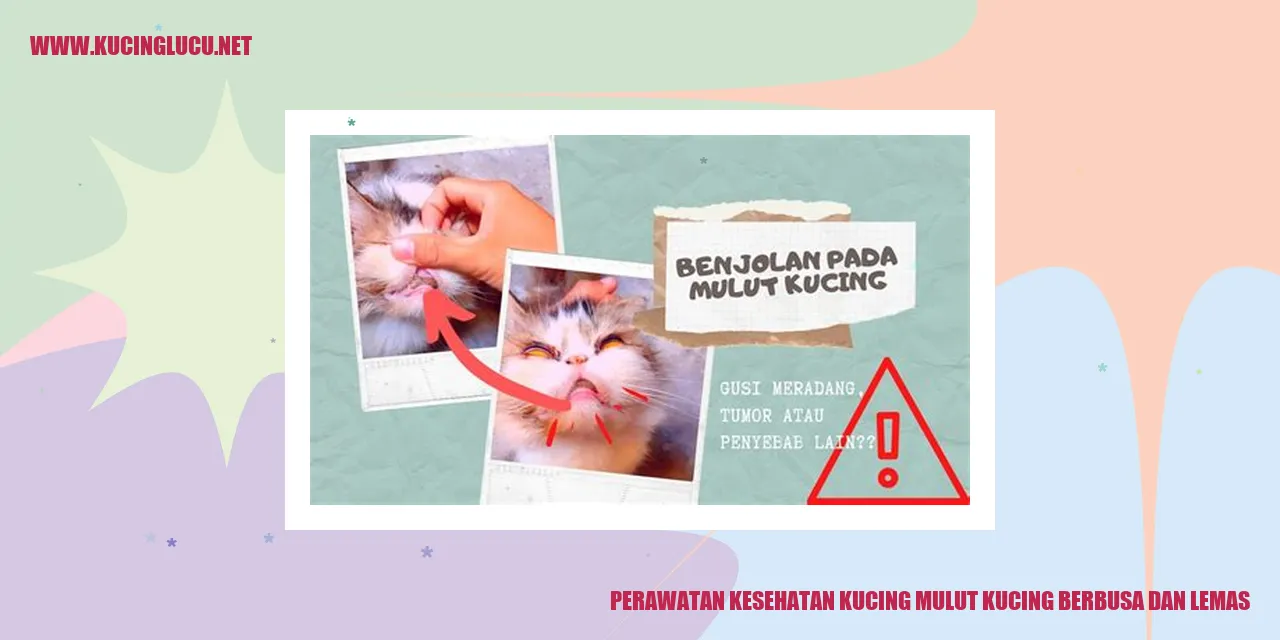 Perawatan Kesehatan Kucing