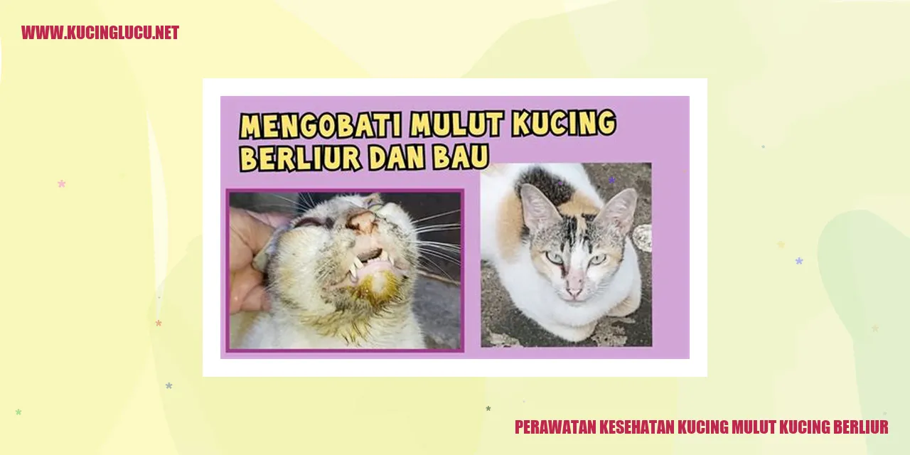 Gambar kucing dengan mulut berliur