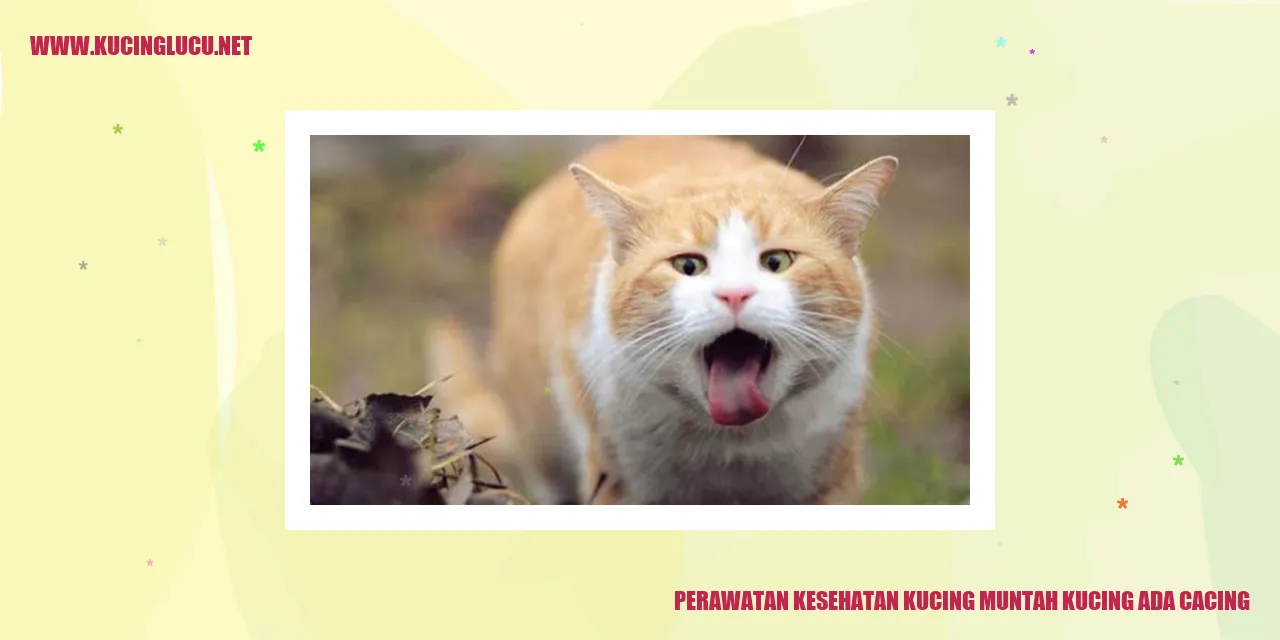 Gambar Kucing