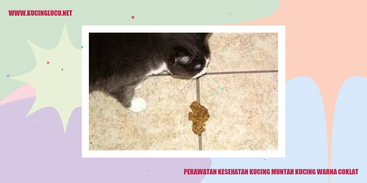 Perawatan Kesehatan Kucing muntah kucing warna coklat