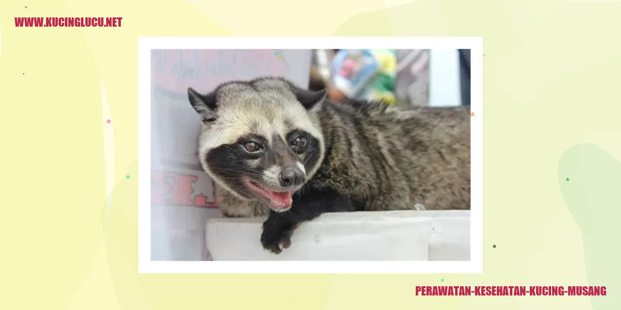 Gambar Perawatan Kesehatan Kucing Musang