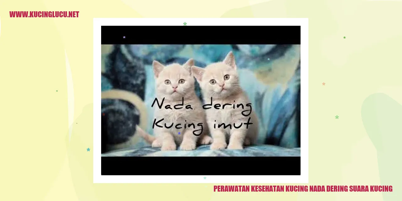 Gambar kucing