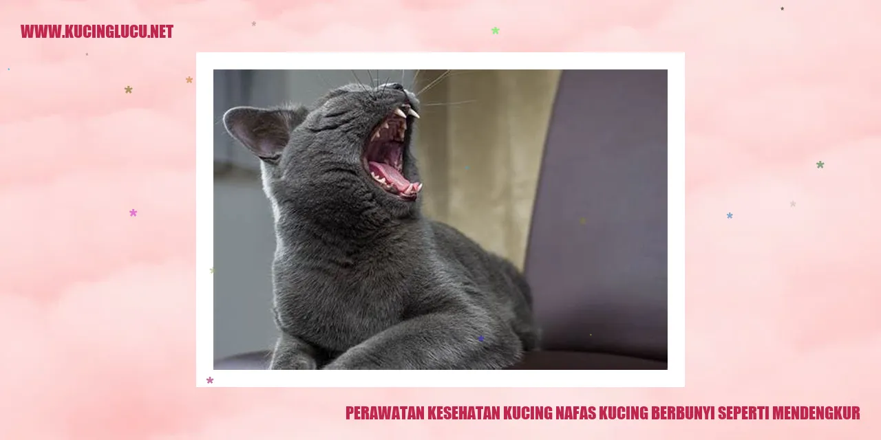 Gambar Kucing