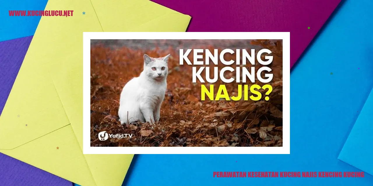 Perawatan Kesehatan Kucing najis kencing kucing