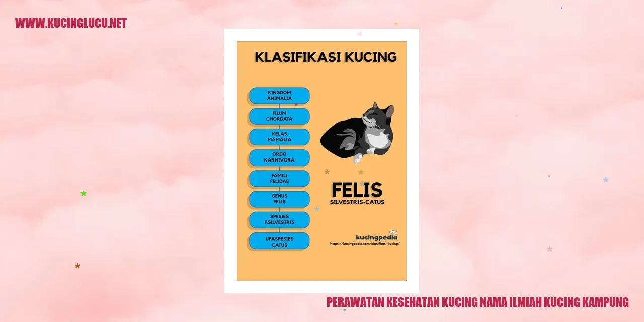Perawatan Kesehatan Kucing Kampung