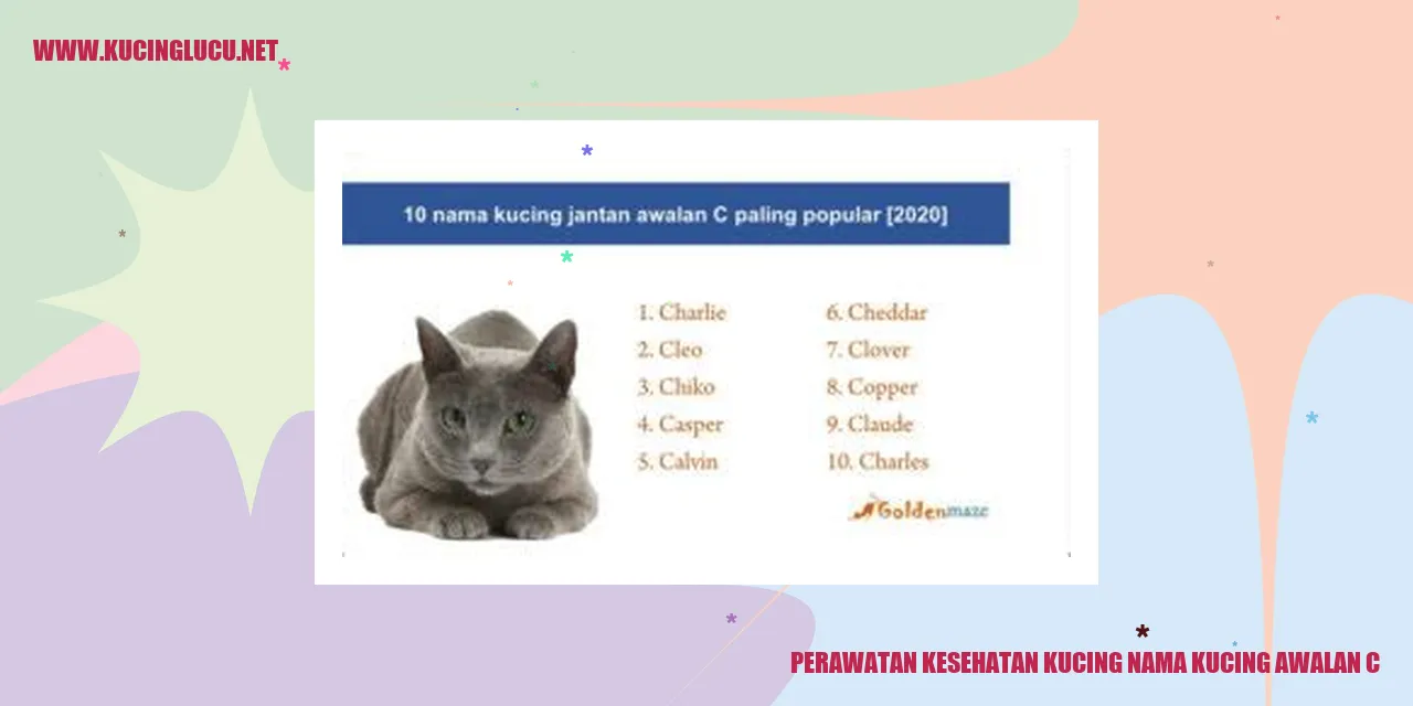 Perawatan Kesehatan Kucing