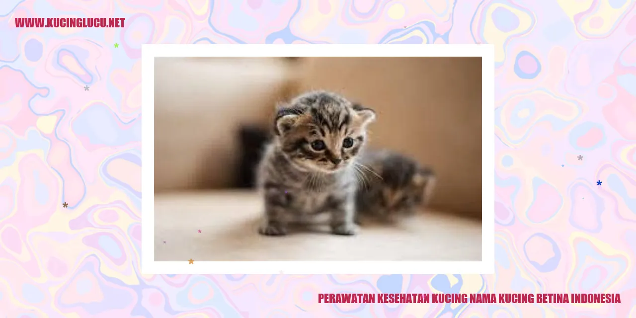 Kucing Betina