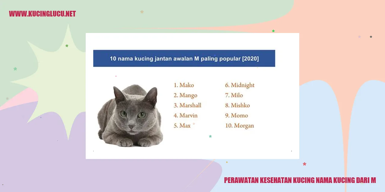 Perawatan Kesehatan Kucing