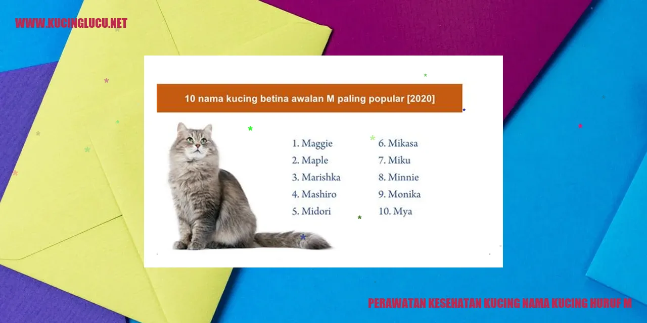 Gambar Kucing