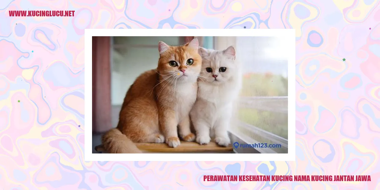Perawatan Kesehatan Kucing Jantan Jawa