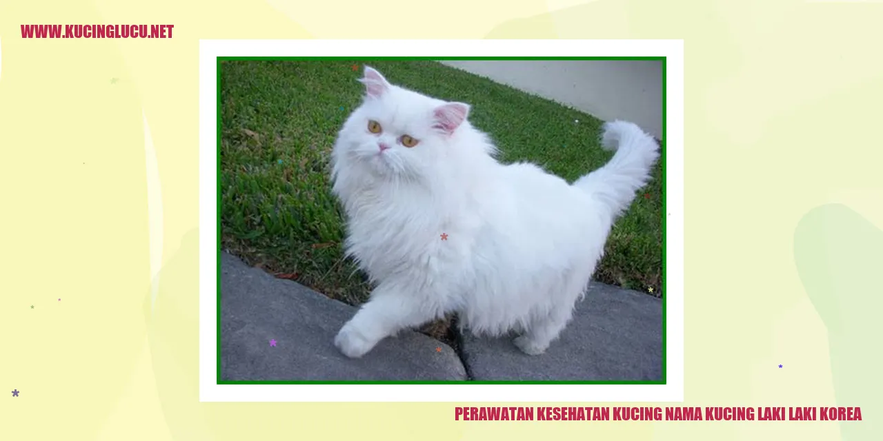 Perawatan Kesehatan Kucing
