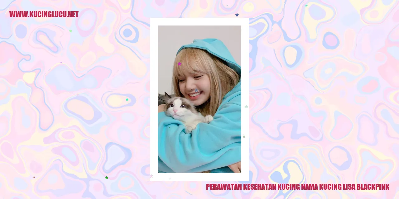 Perawatan Kesehatan Kucing Lisa Blackpink