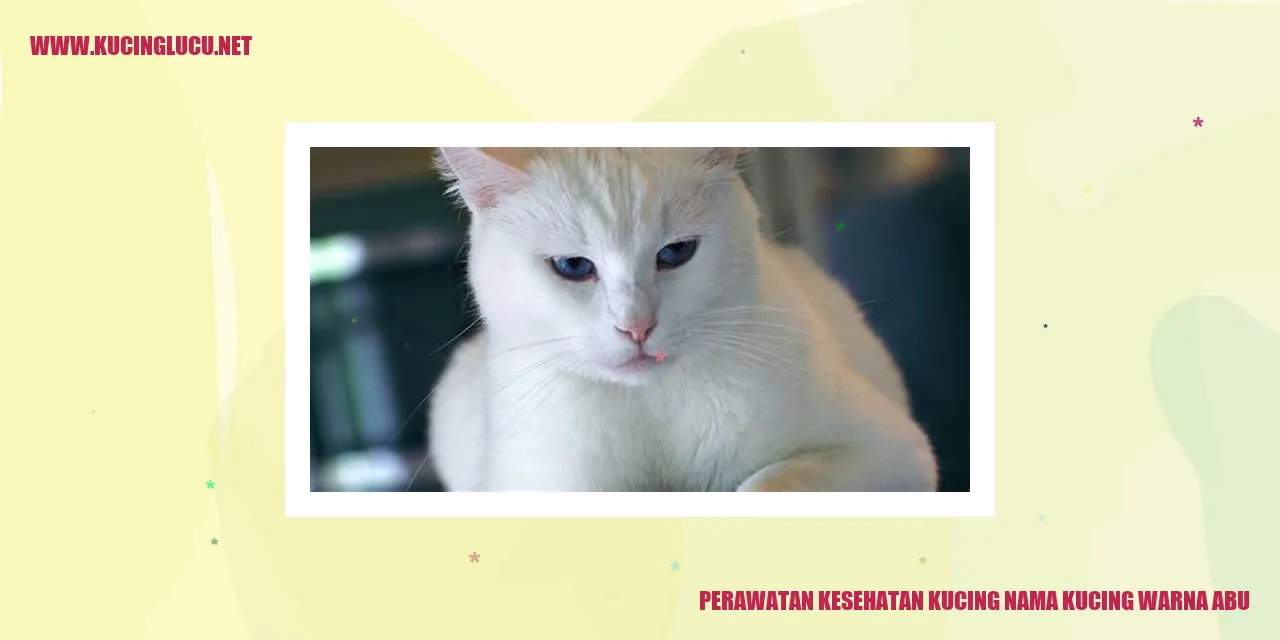 Kucing Abu