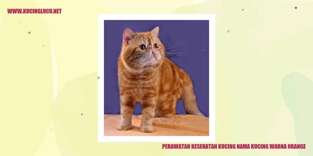 Kucing Oranye yang Sehat dan Ceria